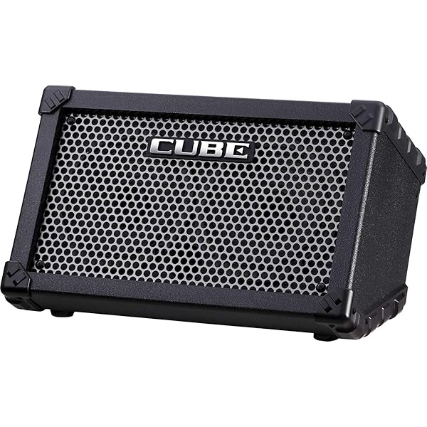 Amazon.com: Roland CUBE-ST Street Battery-Powered 5-Watt Stereo